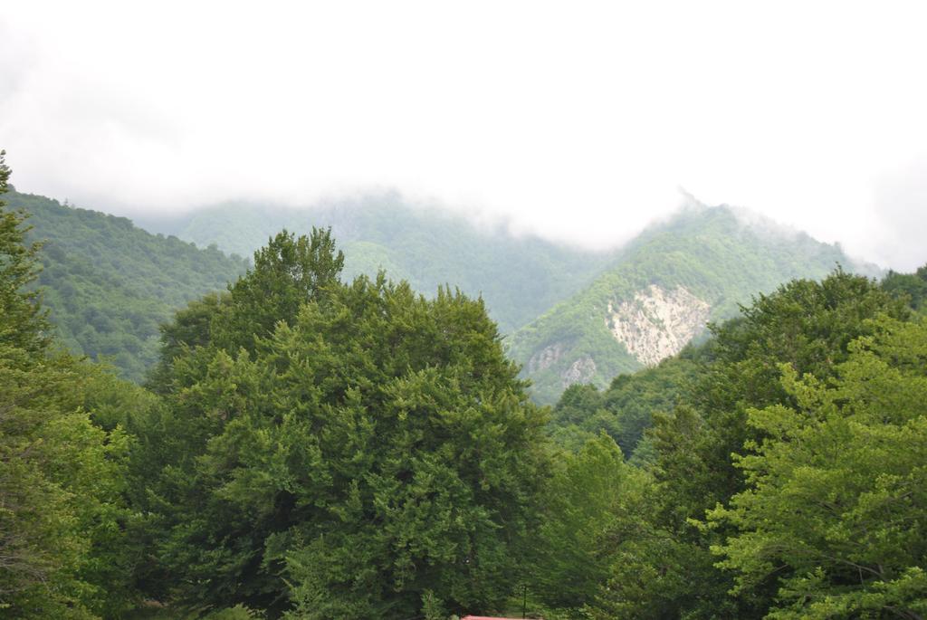Talistan Forest Park Hotel Exterior foto