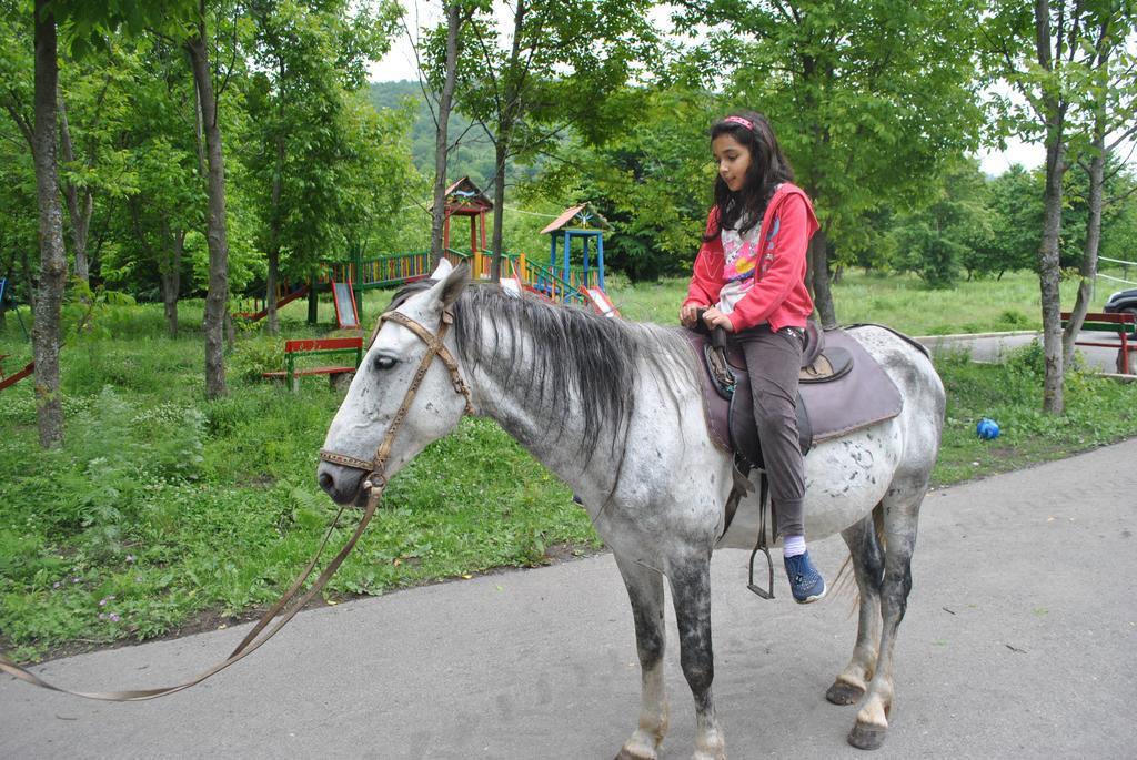 Talistan Forest Park Hotel Exterior foto