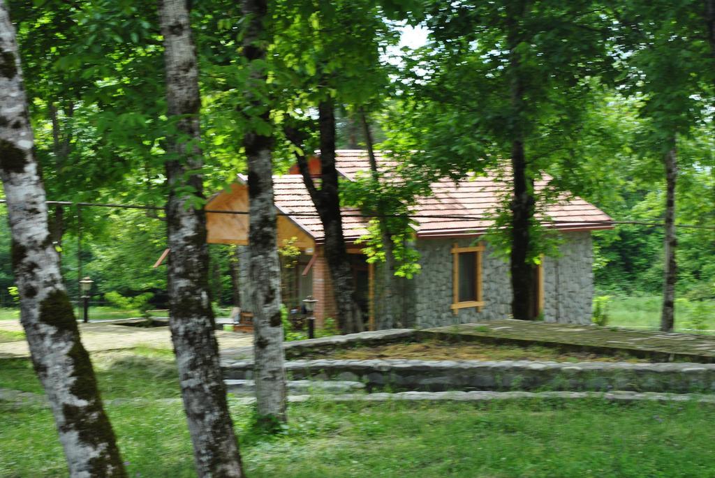 Talistan Forest Park Hotel Exterior foto