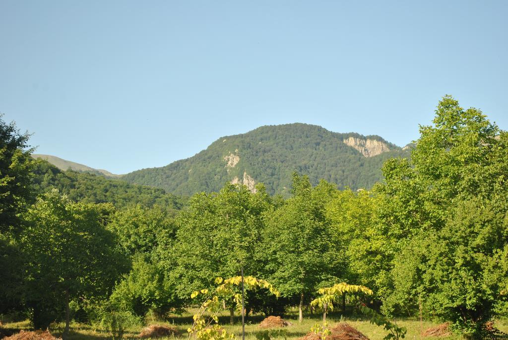 Talistan Forest Park Hotel Exterior foto