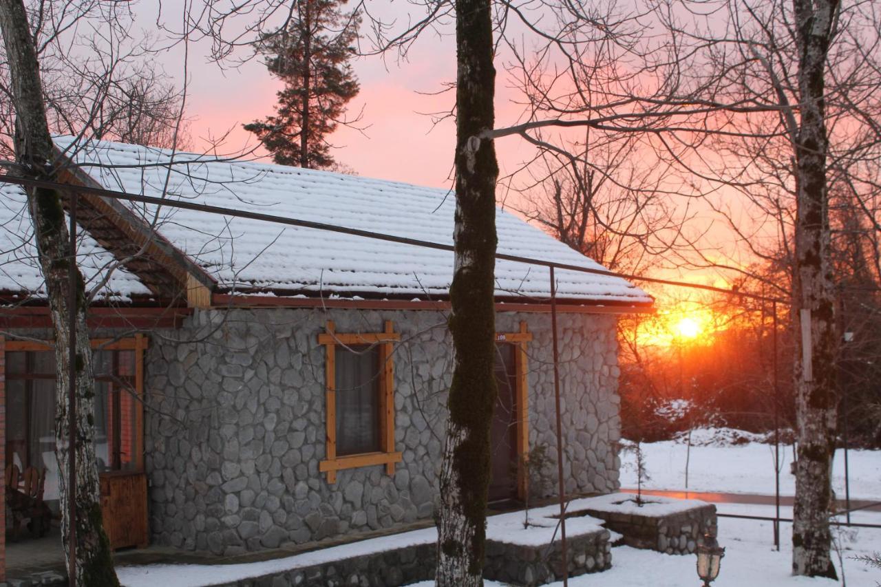 Talistan Forest Park Hotel Exterior foto